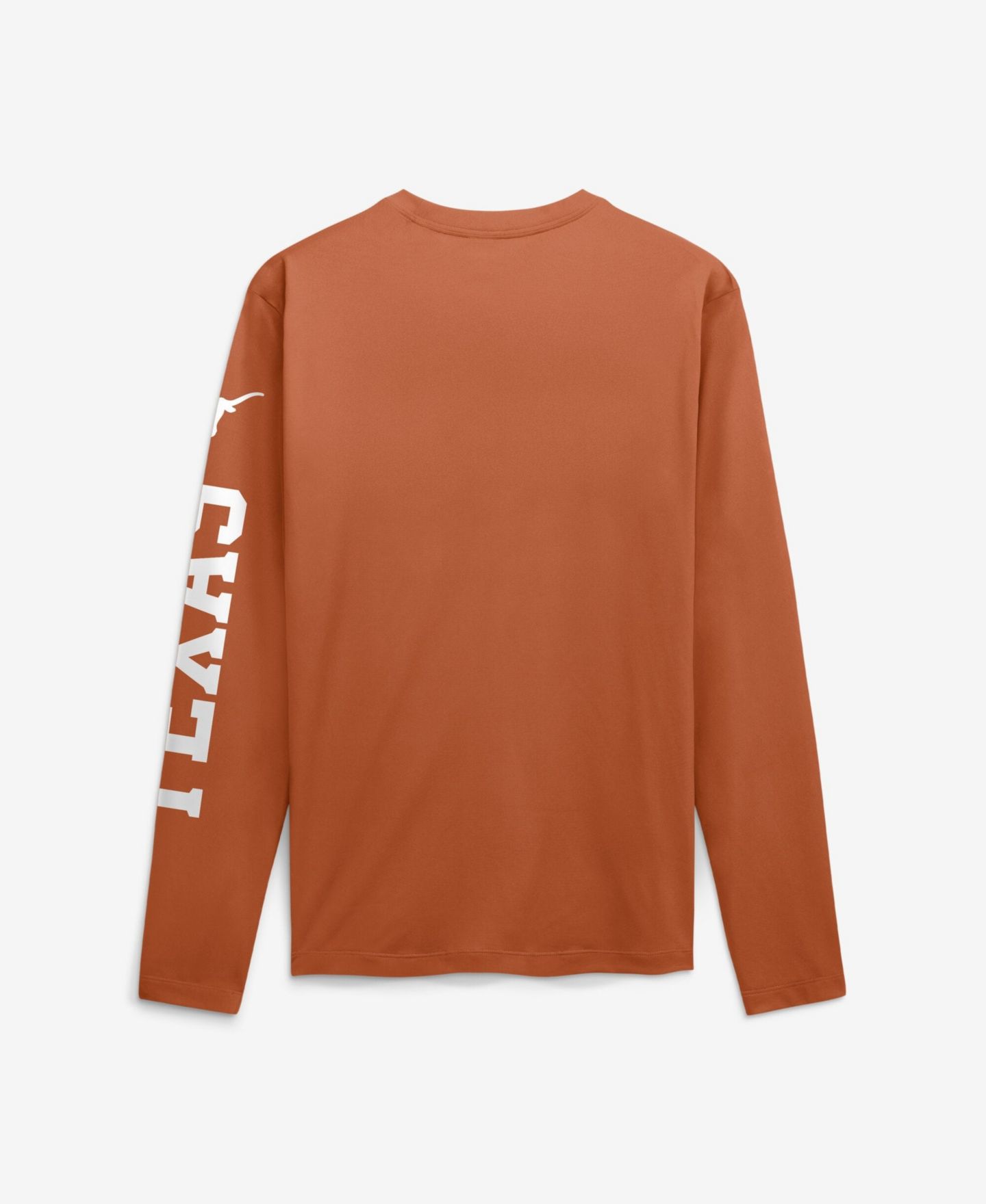 Мужская футболка Nike Texas Orange Texas Longhorns Primetime Logo Sleeve Legend Dri-FIT Long Sleeve — фото 2