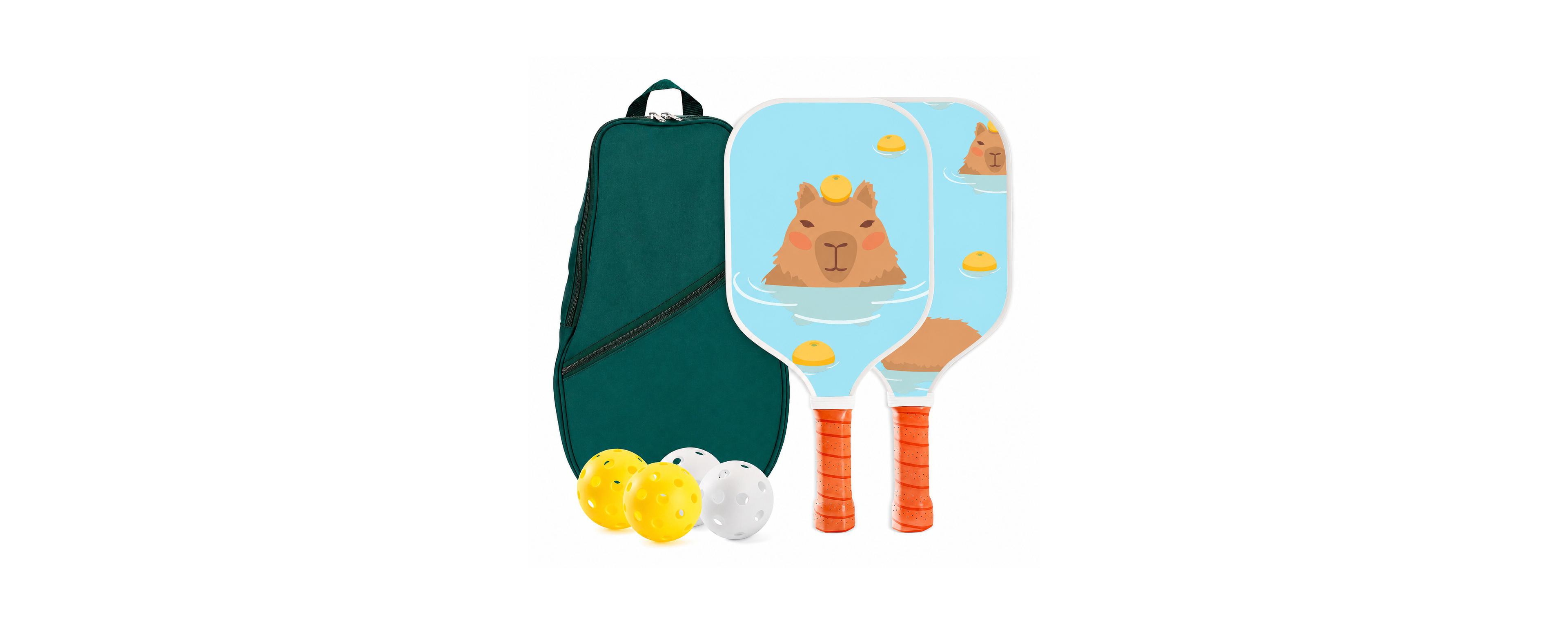 Sportneer Pastel Dream Pickleball Paddle Set 2 Paddles 4 Balls Carry Bag For Beginners