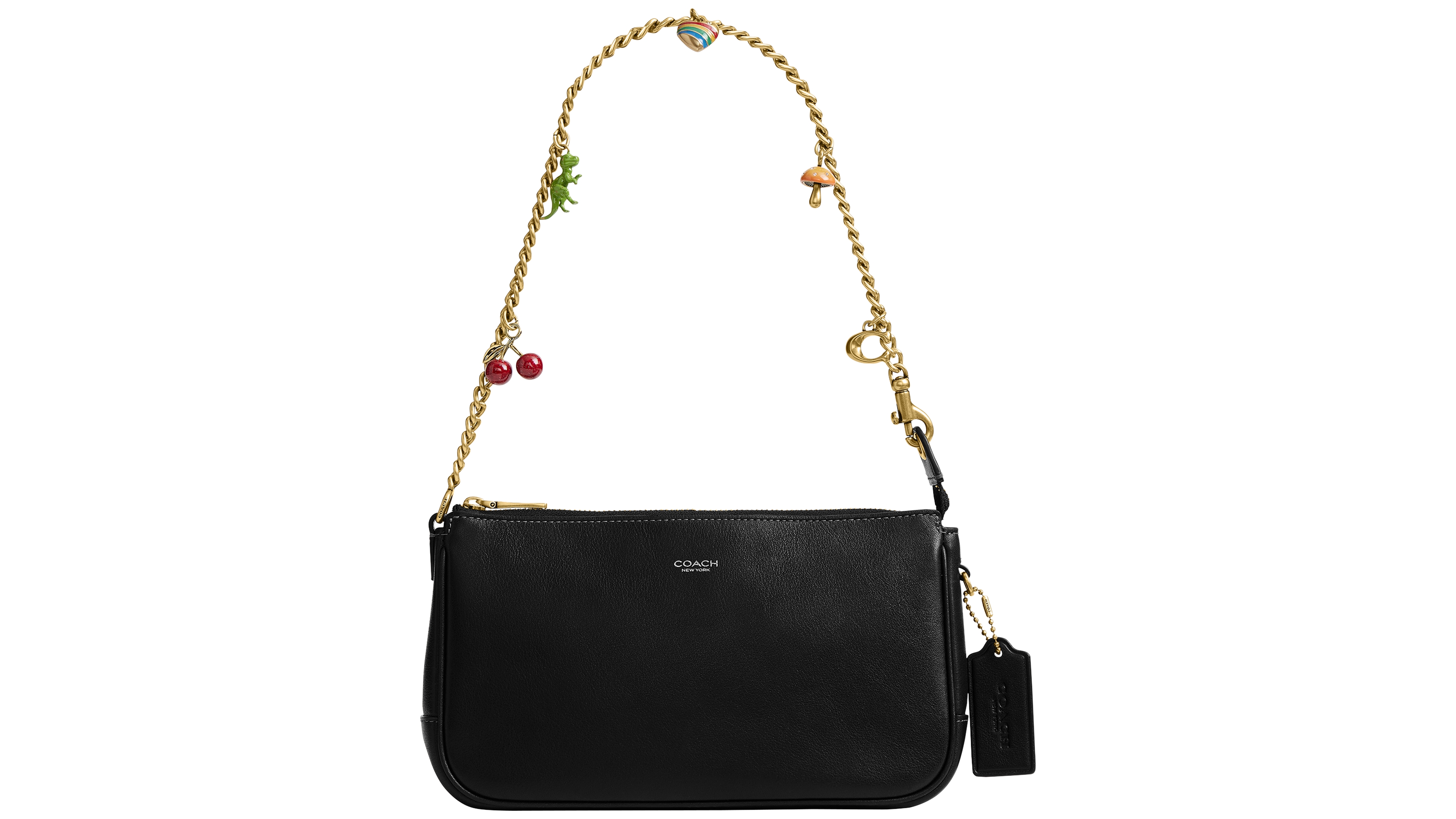 Coach Plaza Natural Grain Leather Chain Strap Small Shoulder Bag