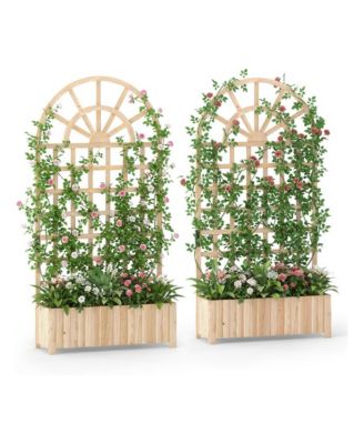 Set of 2 Raised Garden Beds with 71 in Privacy Trellis