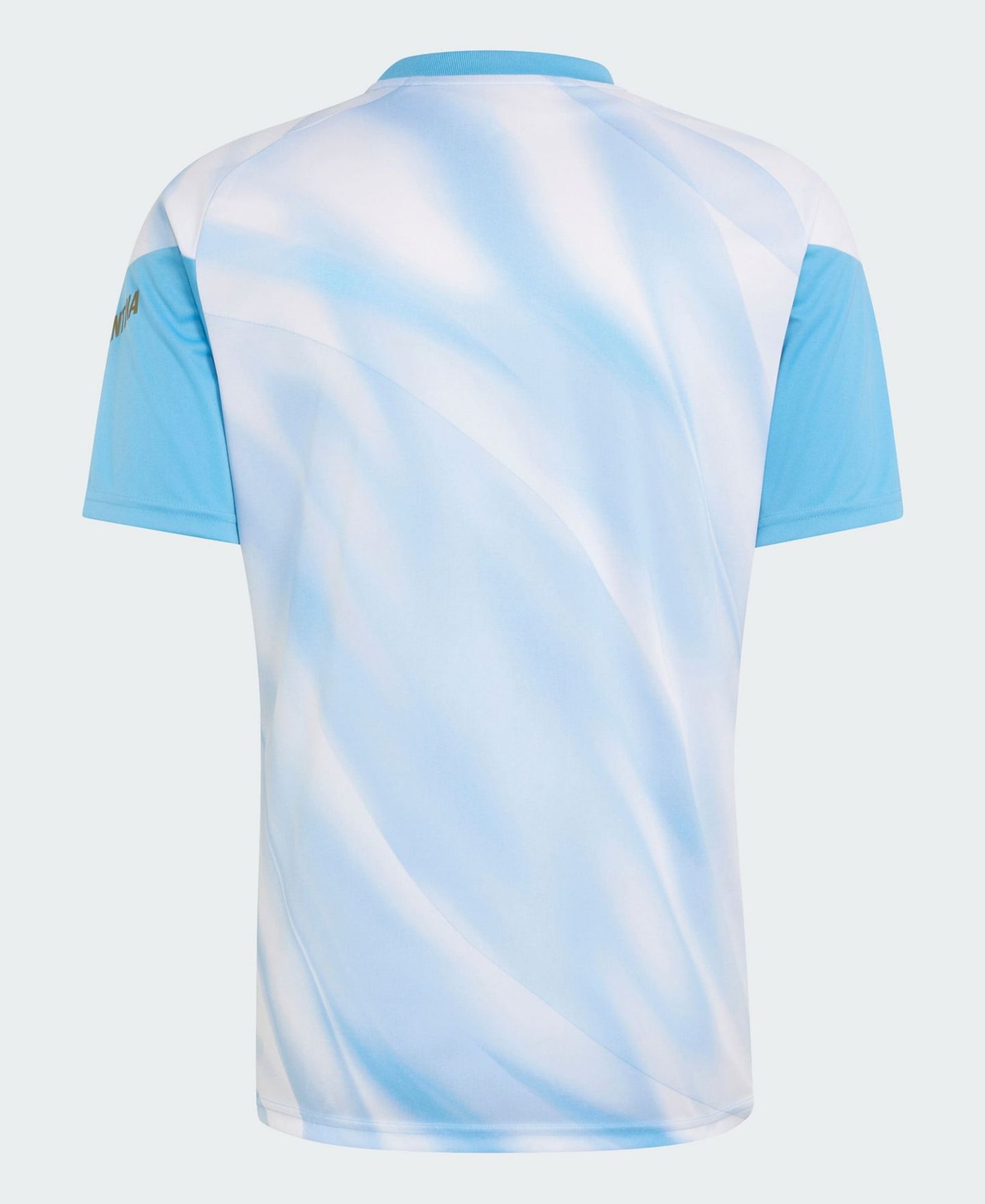 Мужской топ adidas White Argentina National Team AFA x Messi Pre-Match Jersey — фото 2