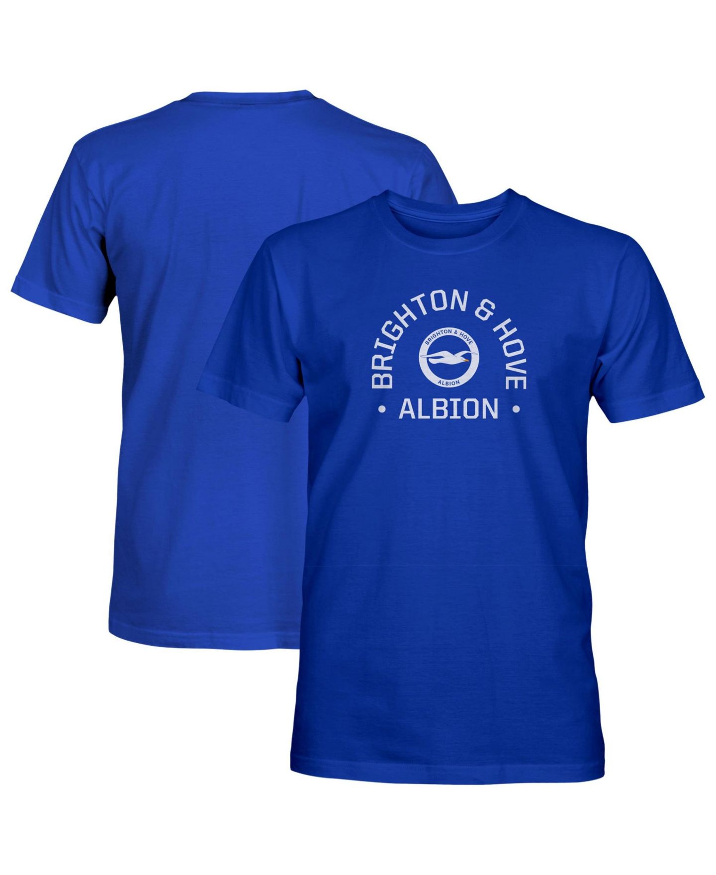 Мужская футболка 1863FC Blue Brighton and Hove Albion Team Arch — фото 1