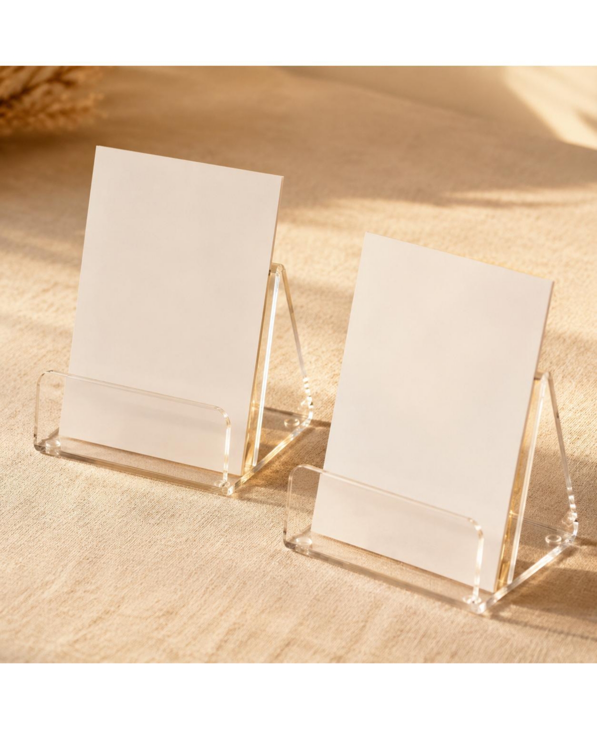 Lowking 2 Pack Acrylic Brochure Holders Slant Back Display Stands