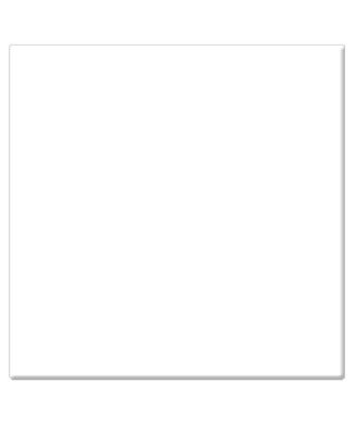 6.6x6.6" Satin 1/2 Soft Focus Filter for Square Filter Systems