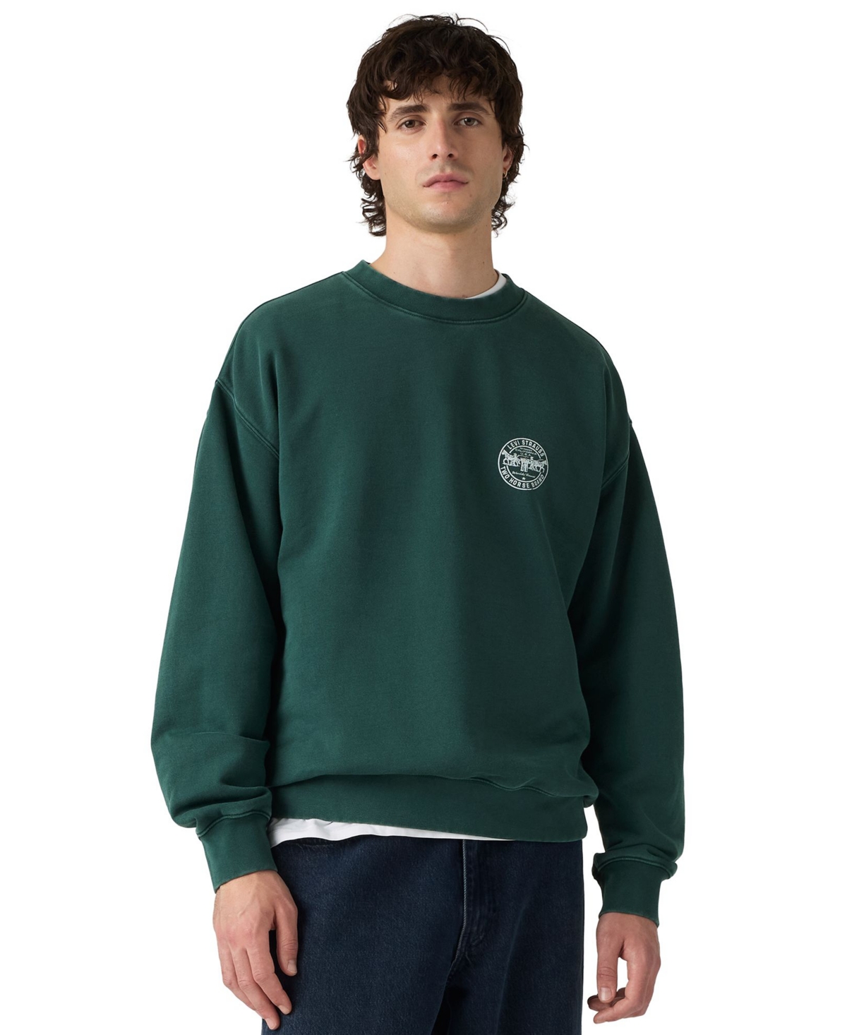 Levi's Men's Sunset Graphic Crewneck Sweatshirt - Ponderosa