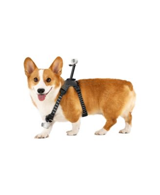 Pet Harness Mount Adjustable Dual-Mounting [Compatible with Action Cameras]