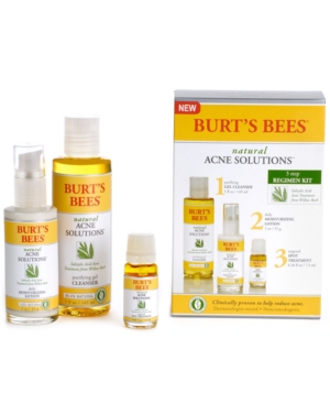 UPC 792850005303 product image for Burt's Bees Natural Acne Full Size Regimen Kit | upcitemdb.com