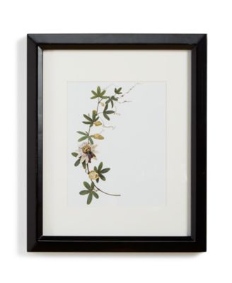 Martha Stewart Collection - Gallery 8" x 10" Wall Frame
