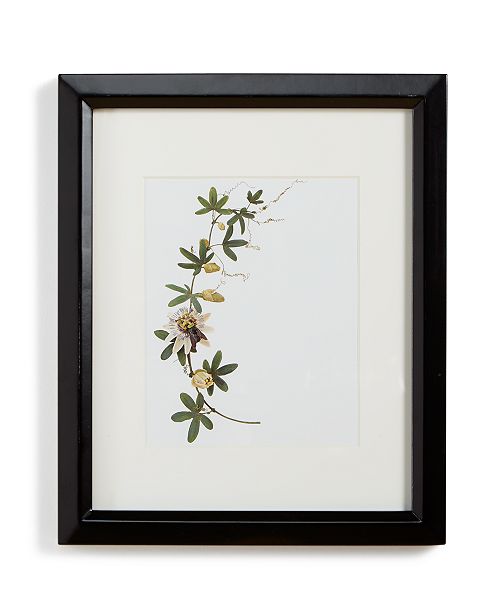 Martha Stewart Collection Gallery 8" x 10" Wall Frame, Created for Macy