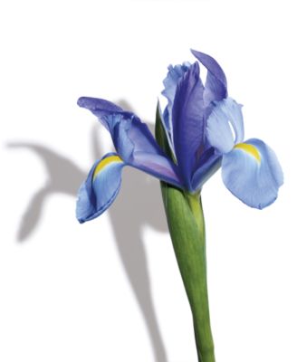 tory burch love relentlessly macy's