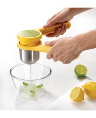 citrus juicer