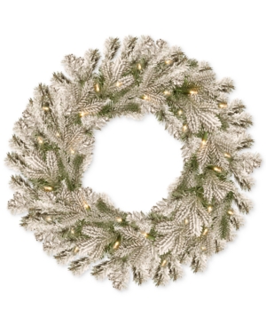 National Tree Company 24