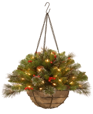 National Tree Company 20