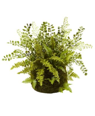 Nearly Natural - Mixed Fern with Twig & Moss Basket