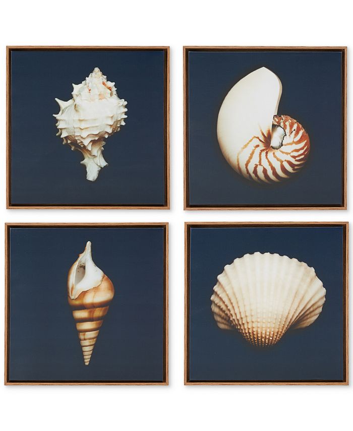 Madison Park - Ocean Seashells 4-Pc. Framed Canvas Print Set