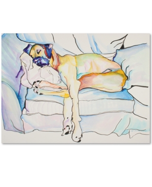 Trademark Global Pat Saunders-white 'sleeping Beauty' 26" X 32" Canvas Wall Art