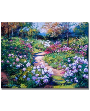 Trademark Global David Lloyd Glover 'natures Garden' Canvas Art In No Color