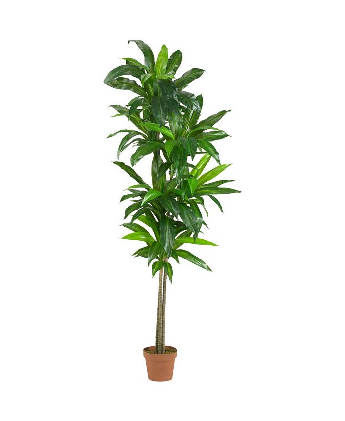 Nearly Natural - 6' Dracaena Real Touch Artificial Plant