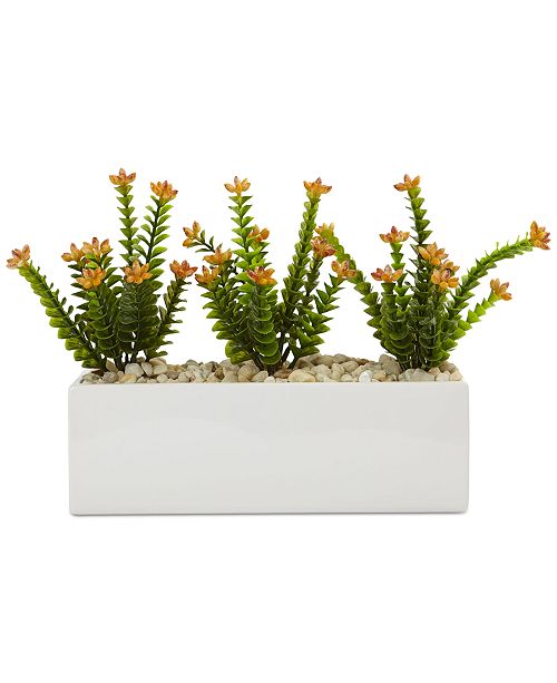 Nearly Natural Flowering Sedum Artificial Plants In Rectangular