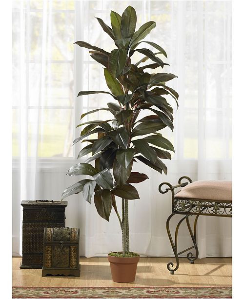 Nearly Natural 5' Cordyline Real Touch Artificial Plant & Reviews