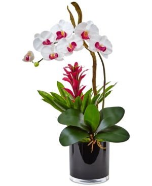 Nearly Natural Orchid & Bromeliad Artificial Arrangement In Glossy Black Cylinder Vase In White