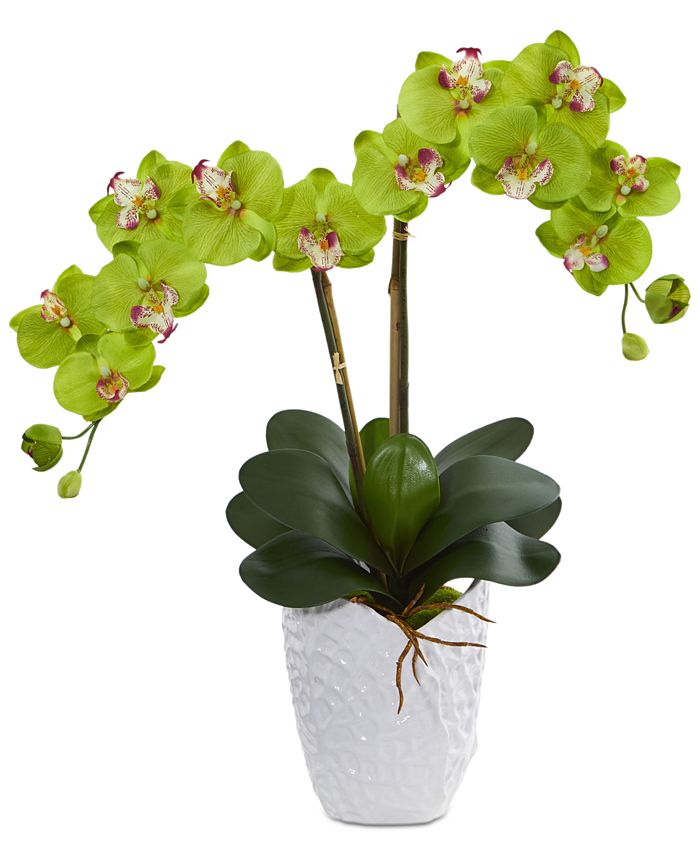 Nearly Natural - Double Phalaenopsis Orchid Artificial Arrangement in White Ceramic Vase