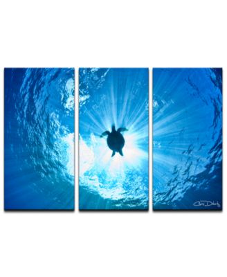 Ready2HangArt - 'Sea Turtle' 3-Pc. Canvas Art Print Set