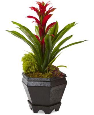 Nearly Natural - Bromeliad Artificial Plant in Black Hexagon Planter