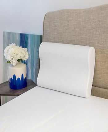 Soft tex best sale pillow macys