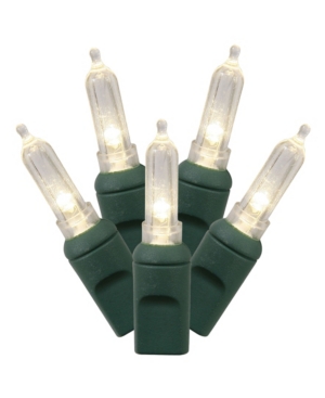 Vickerman 50 Warm White Italian Led Light on Green Wire 25' Christmas Light Strand