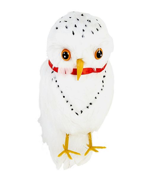 Buyseasons Big Boys Harry Potter Owl Hedwig Prop Kids Accessory Reviews Kids Macy S