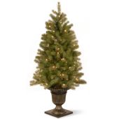 Potted Christmas Tree Macy S
