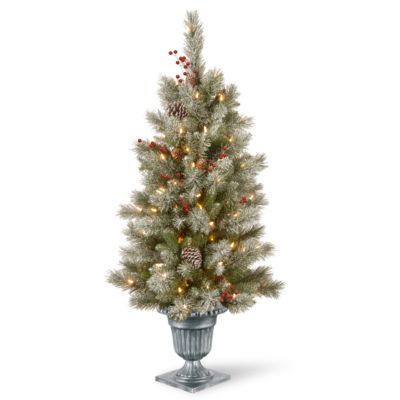 National Tree Company - 4' Feel Real&reg;  Snowy Bristle Berry Entrance Tree in Silver Brushed Urn with Red Berries, Mixed Cones & 100 Clear Lights