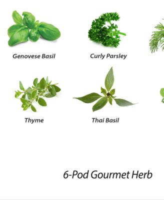 AeroGarden Goodful™ by Gourmet Herbs 6-Pod Seed Kit