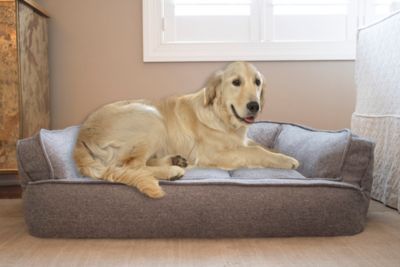 macys dog bed
