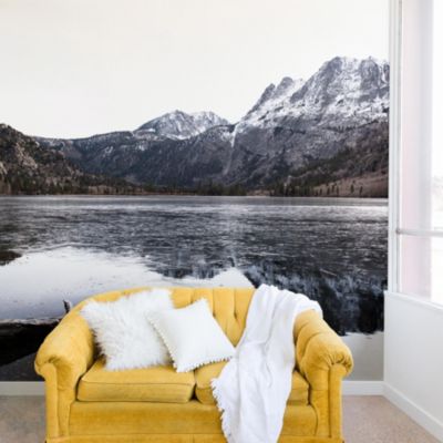 Deny Designs - Bree Madden The Lake Wall Mural