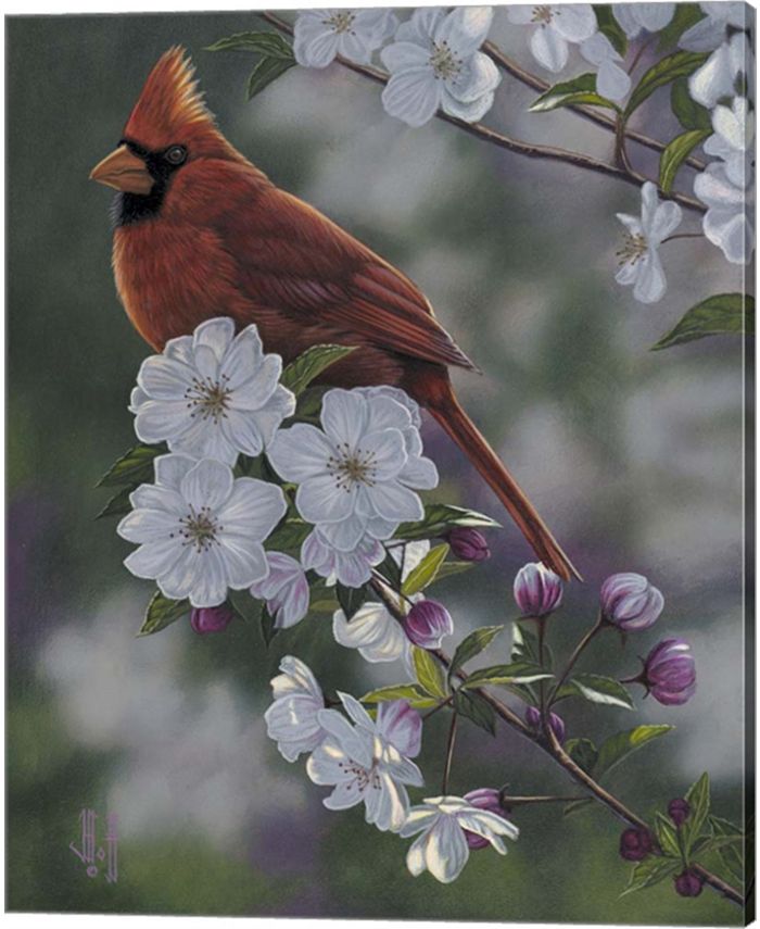 Metaverse Cardinal Spring Blossoms By Jeffrey Hoff Canvas Art - Macy's