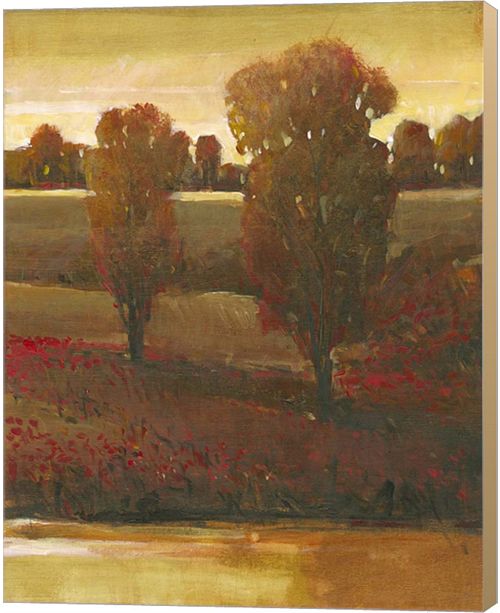 Metaverse Illuminating Sky Ii By Timothy O Toole Canvas Art