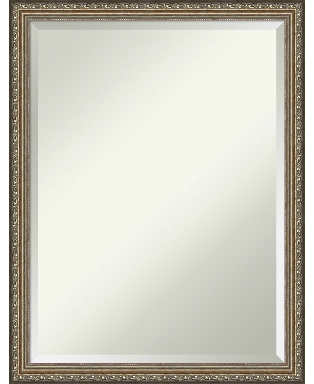 Parisian 20x26 Bathroom Mirror