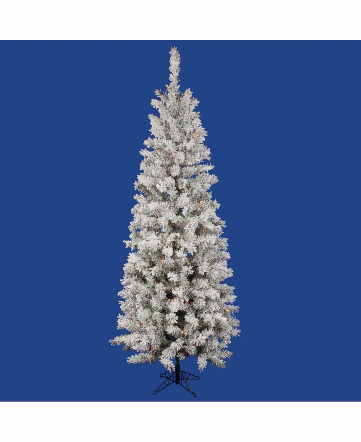 Vickerman 5.5 Flocked Pacific Artificial Christmas Tree With 200 Multi-Colored Led Lights