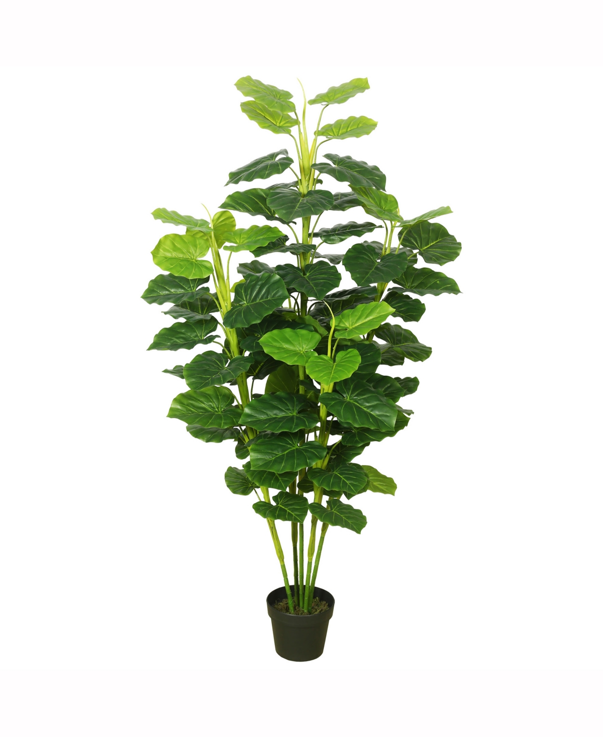 Vickerman 64" Artificial Fresh Looking Green Philodendron In No Color