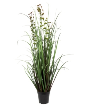 Vickerman 36