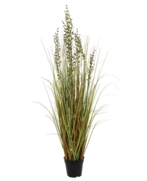 Vickerman 48