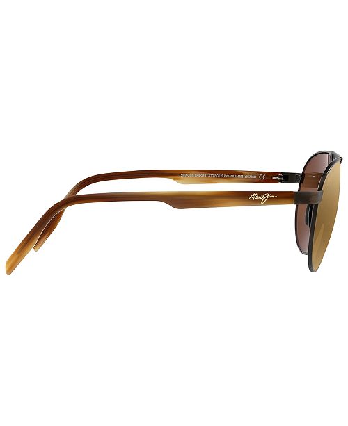 Polarized Sunglasses 787 Swinging Bridges 6