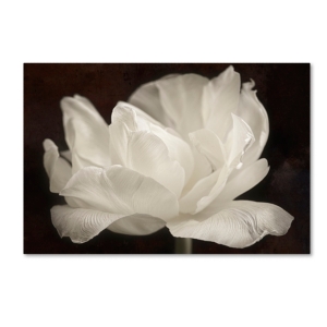 Trademark Global Cora Niele 'white Tulip Iii' Canvas Art, 22" X 32" In Open Misce