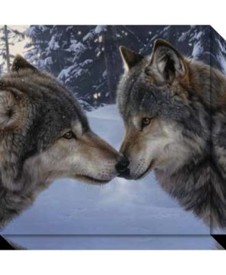 Amanti Art - Muzzle Nuzzle Wolves (detail) 20x20 Canvas Art Gallery Wrap