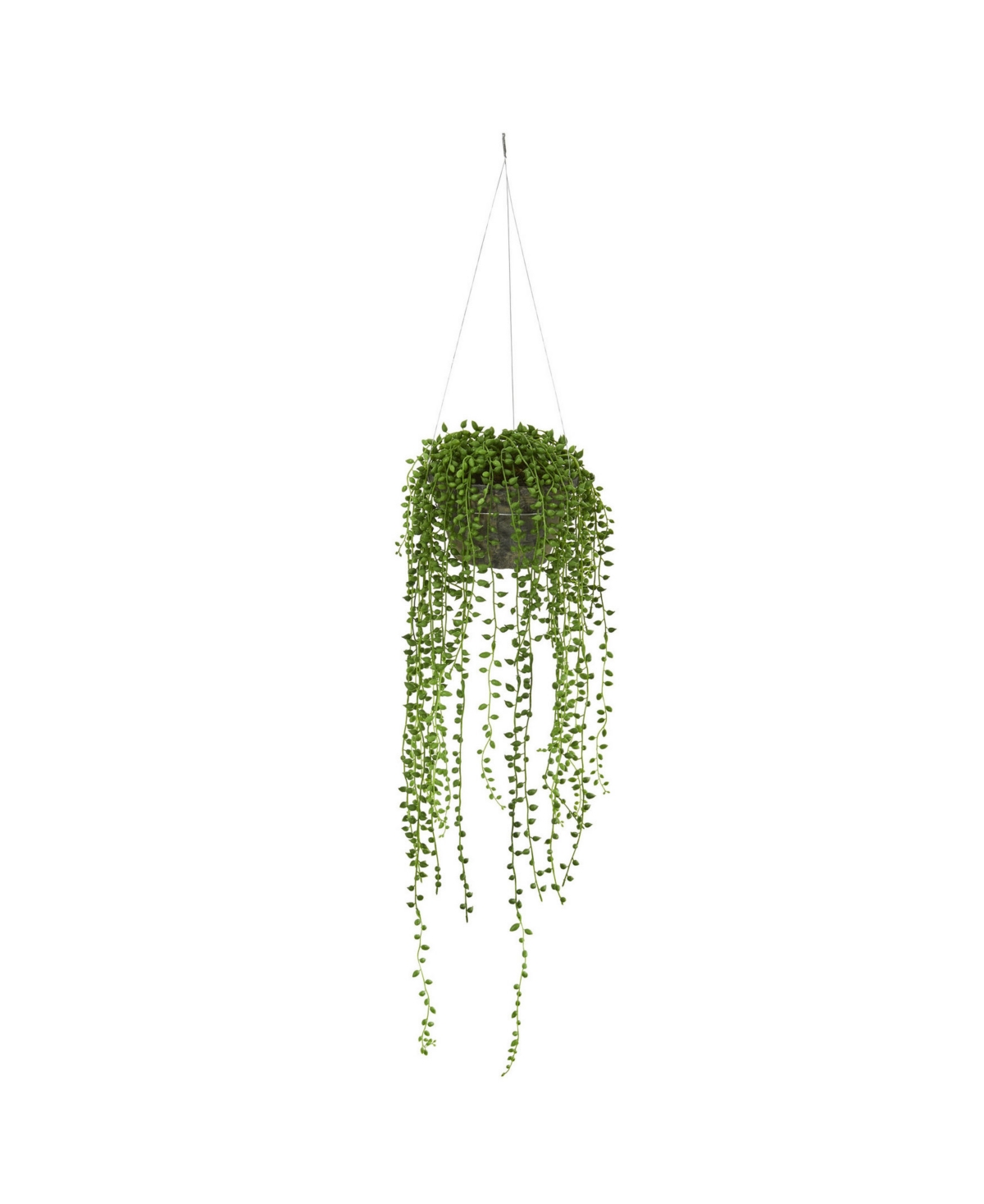 String of Pearl Artificial Plant Hanging Basket - Green