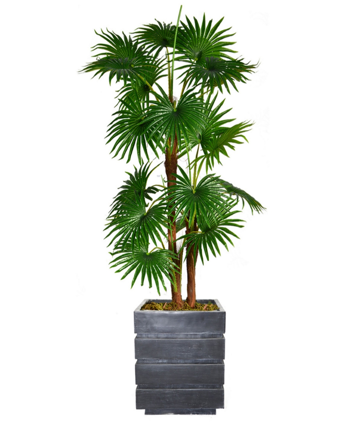 Artificial Faux Real Touch 54" Tall Fan Palm Tree With Burlap Kit And Fiberstone Planter - Assorted