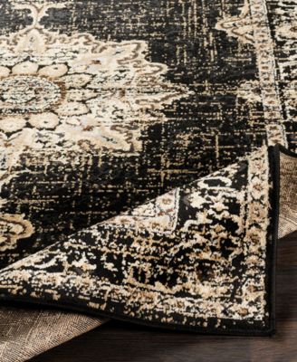 Paramount PAR-1089 1'10" x 2'11" Area Rug