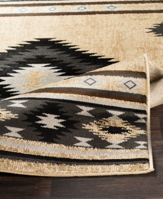 Paramount PAR-1096 8'10" x 12'10" Area Rug